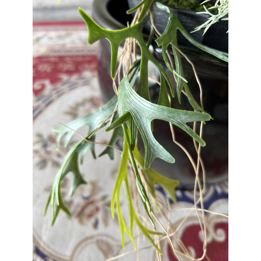 光触媒 人工観葉植物 ウォールグリーン フェイクグリーン 光触媒 人工観葉植物 ウォールグリーン フェイクグリーン