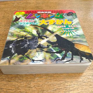 甲虫王者ムシキングカブトムシ・クワガタ大ずかん(絵本/児童書)