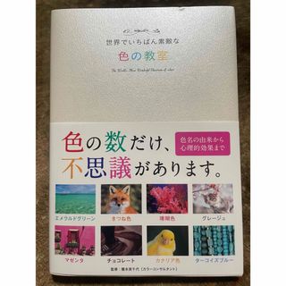 世界でいちばん素敵な色の教室(アート/エンタメ)