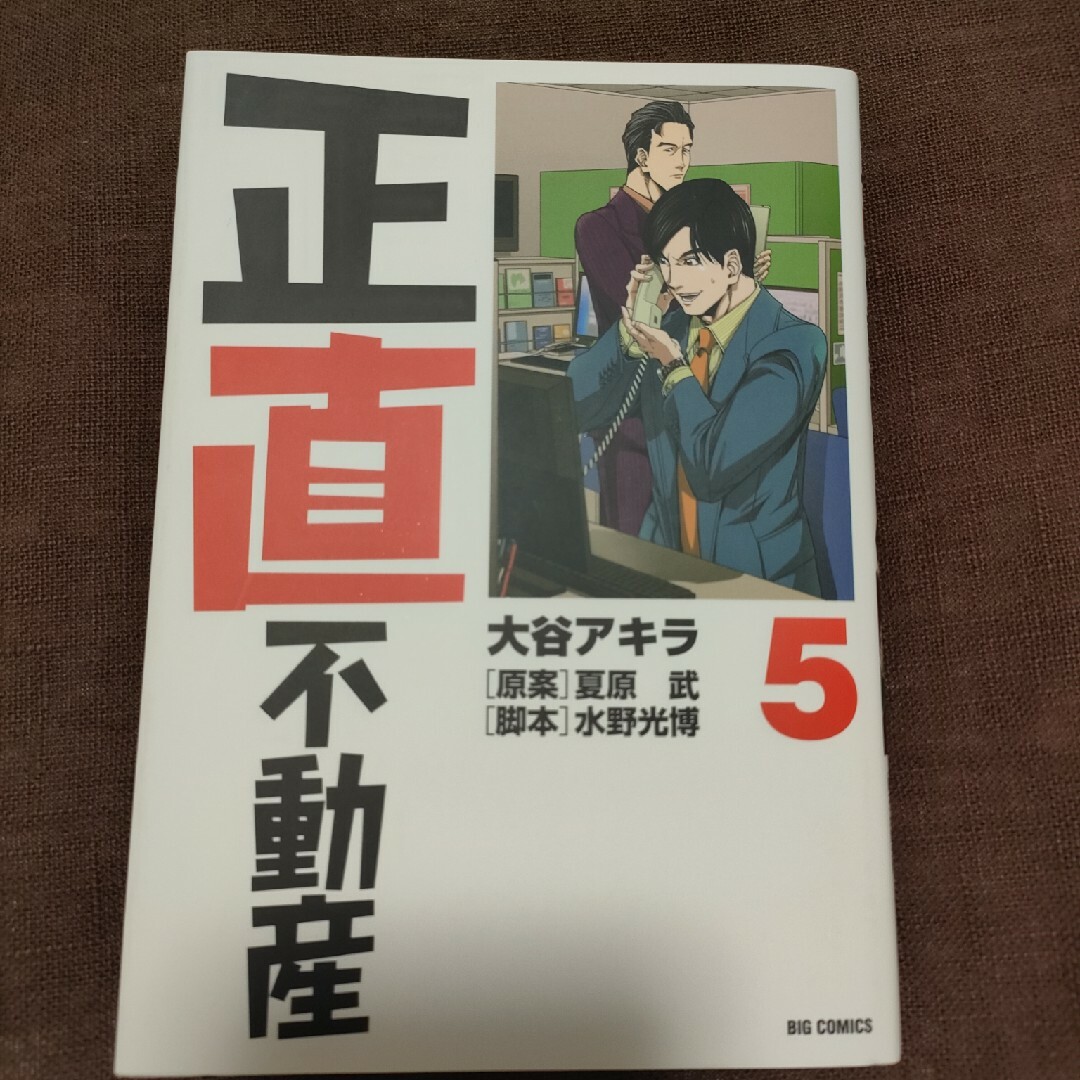 小学館(ショウガクカン)の【値下げ済】正直不動産　5巻 エンタメ/ホビーの漫画(青年漫画)の商品写真