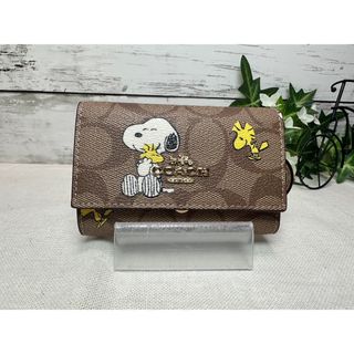 コーチ(COACH) スヌーピーの通販 2,000点以上 | コーチを買うならラクマ