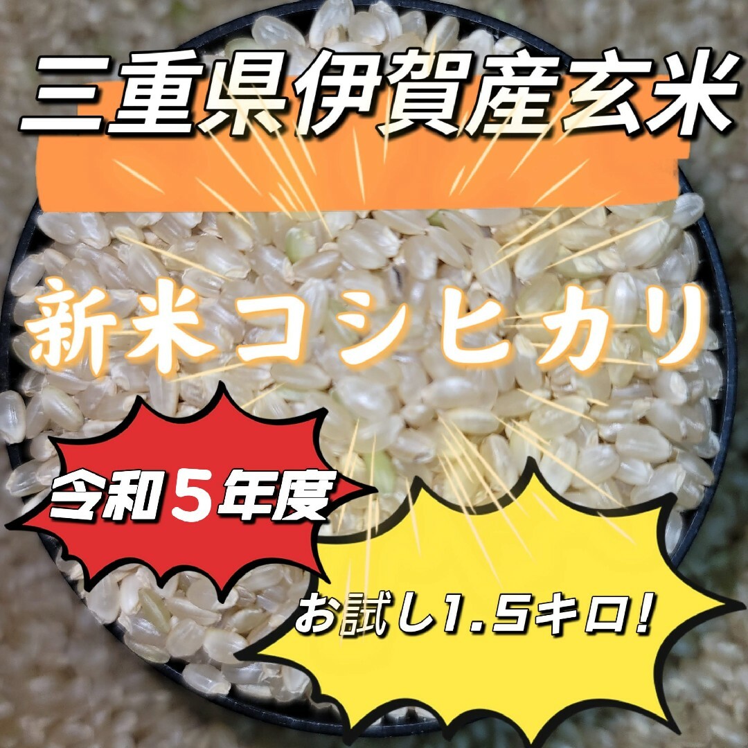 値下げ888→799円！新米！玄米！お試し【令和5年産】三重県 伊賀米 コシヒカ 食品/飲料/酒の食品(米/穀物)の商品写真