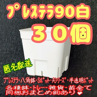 【スリット鉢】プレステラ90白30個 多肉植物 プラ鉢(プランター)