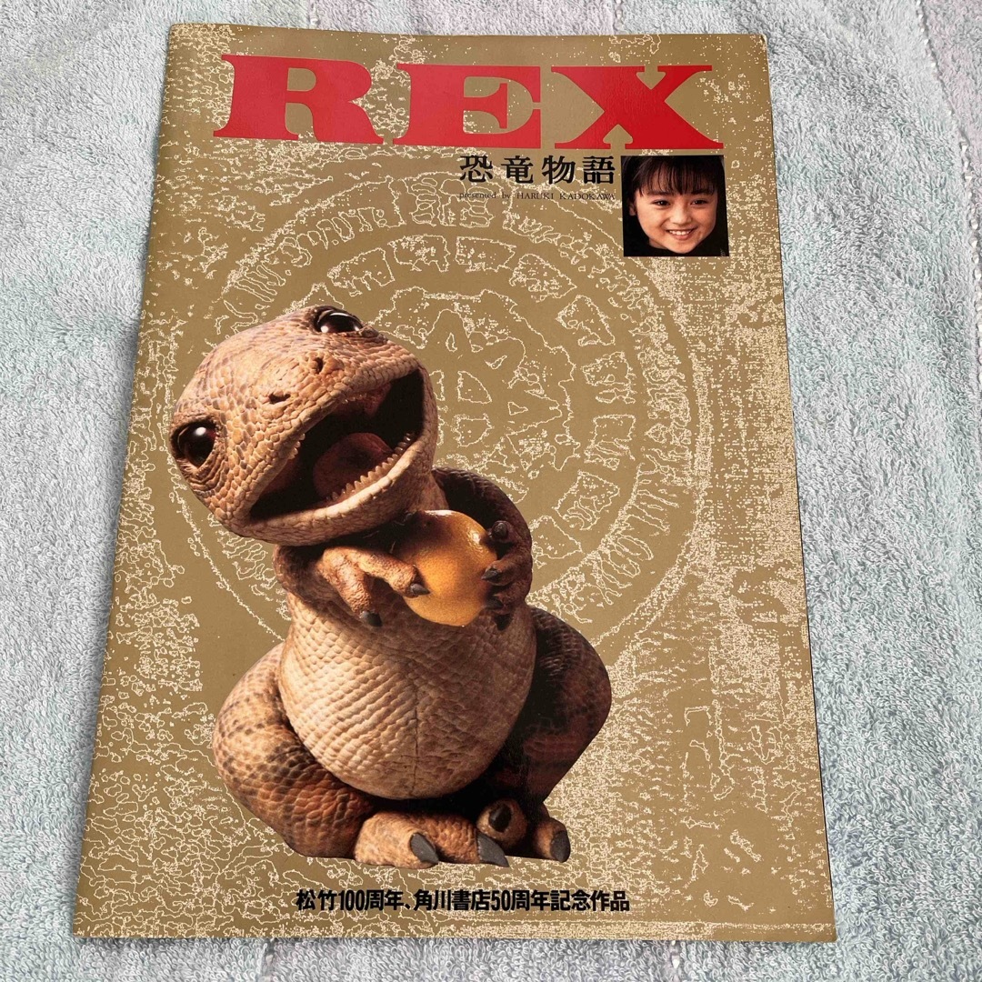 安達祐実さん主演⭐︎映画パンフ⭐︎REX エンタメ/ホビーのコレクション(印刷物)の商品写真