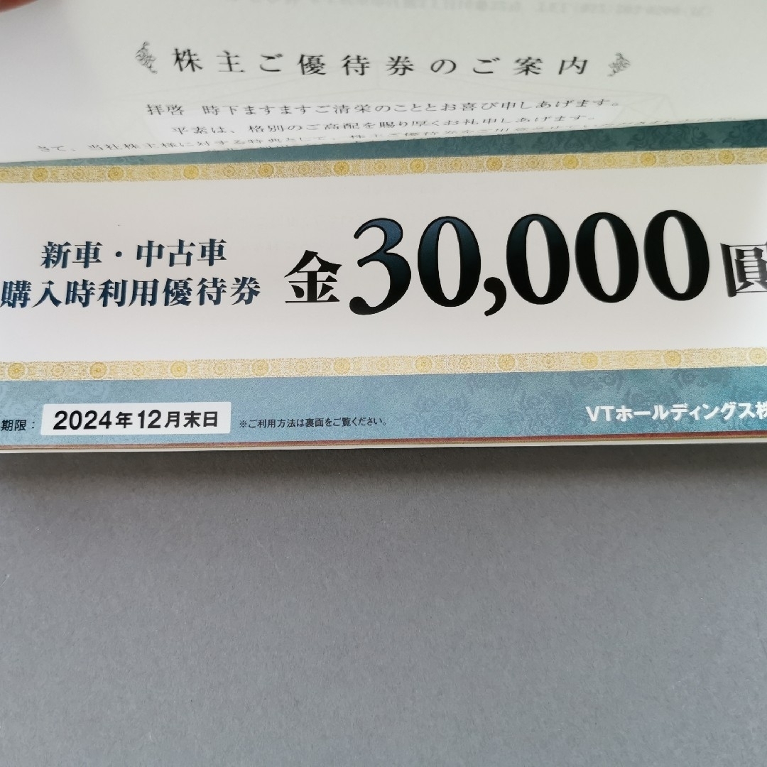 VTホールディングス 株主優待券 1セット チケットの優待券/割引券(その他)の商品写真