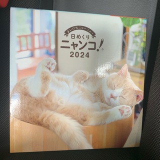 日めくりニャンコ！2024年(卓上日めくりカレンダー猫版)(カレンダー/スケジュール)