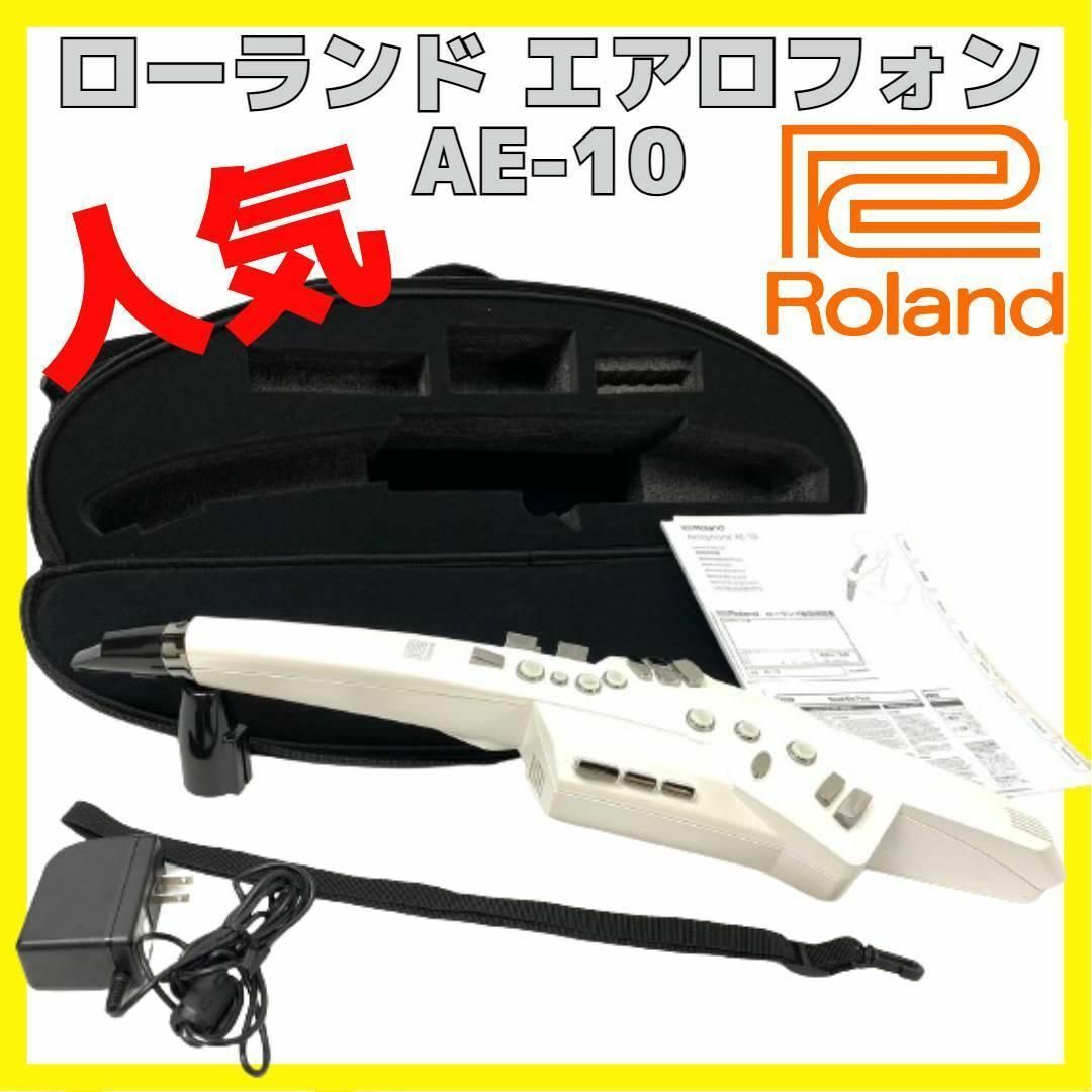 Roland ローランド エアロフォン AE-10 Aerophone 管楽器