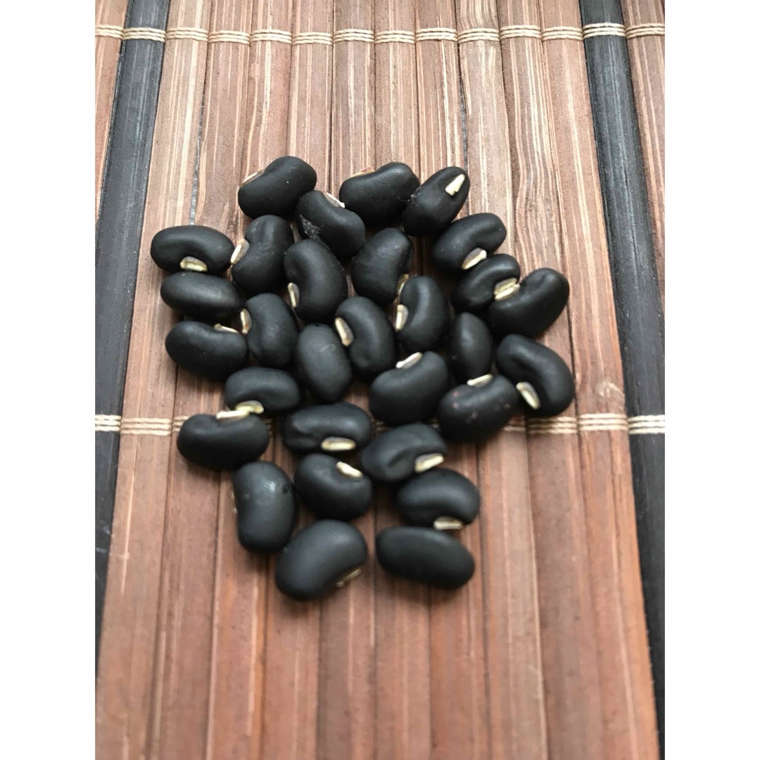 アンコにすると黒くてキレイ　黒小豆の種　30粒 ハンドメイドのフラワー/ガーデン(その他)の商品写真