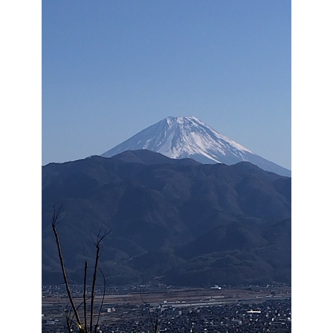 山梨県産　アカシア蜂蜜　300g（トンガリ容器）　1本入り　2023 年5月採り 食品/飲料/酒の食品(その他)の商品写真