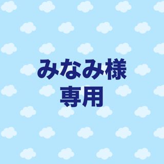 みなみ様専用(その他)