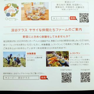 キユーピー(キユーピー)のキユーピー株主優待 深谷テラス割引券(レストラン/食事券)