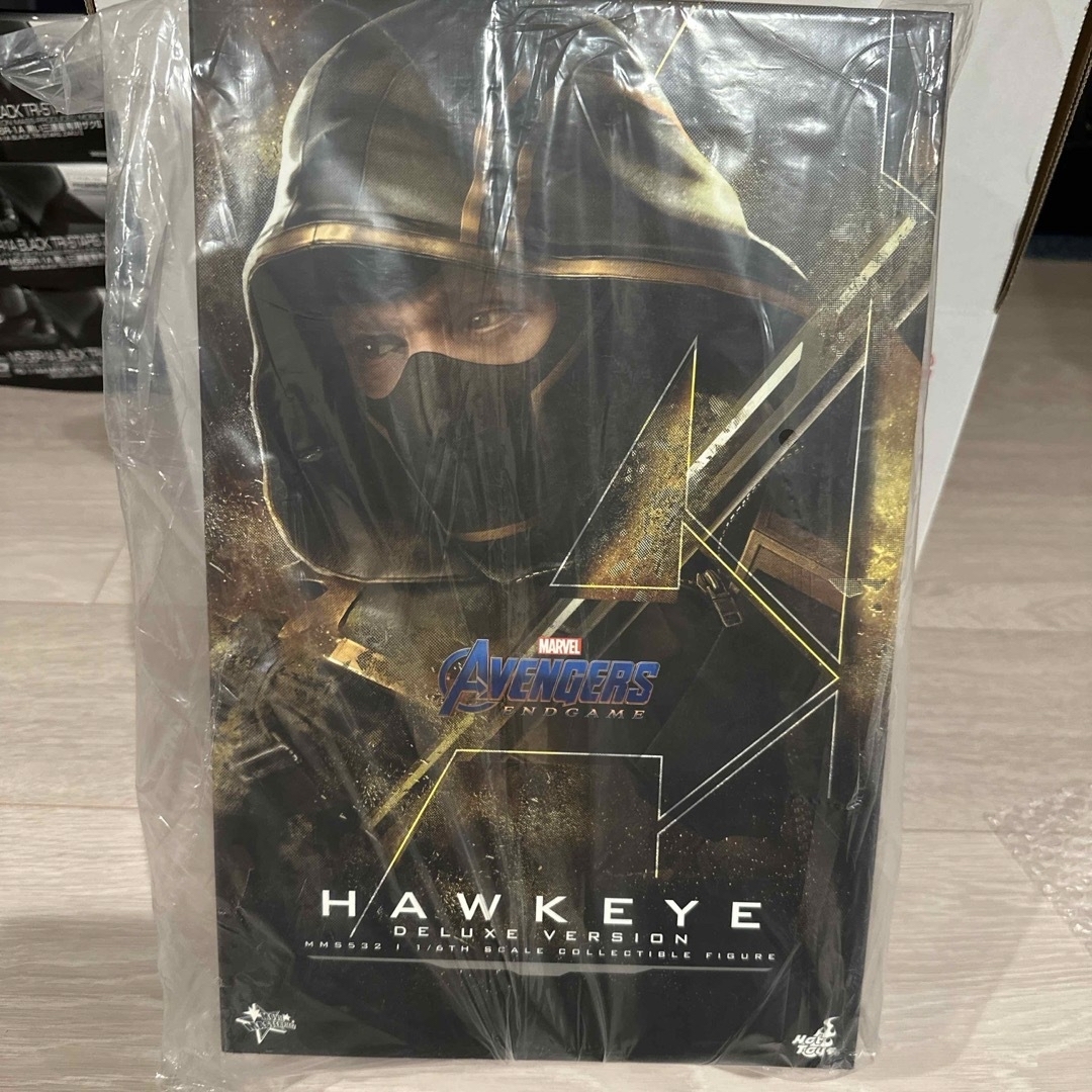 Hot Toys(ホットトイズ)のHOTTOYS ホットトイズ　ホークアイ（ローニン）トイサピ限定 エンタメ/ホビーのフィギュア(アメコミ)の商品写真