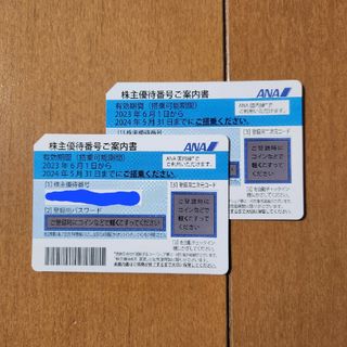 エーエヌエー(ゼンニッポンクウユ)(ANA(全日本空輸))のANA 株主優待　2枚セット(航空券)