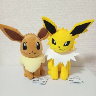 ポケモン - ポケモン おっきいもっちりぬいぐるみ モウドクキケン