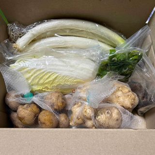 季節のお野菜詰め合わせセット(野菜)
