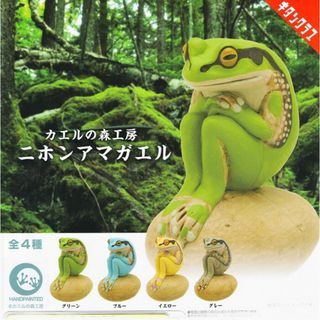 カエルの森工房 ニホンアマガエル 全４種類 新品 リアルフィギュア カプセルトイ(その他)