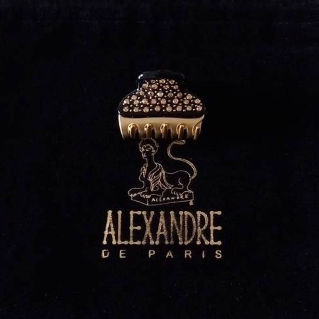 Alexandre de Paris(アレクサンドルドゥパリ)の新品☆アレクサンドル ドゥ パリ VENDÔME CLIP (S) 4.5cm レディースのヘアアクセサリー(バレッタ/ヘアクリップ)の商品写真