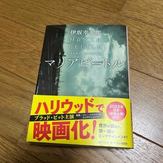 マリアビ－トル(文学/小説)