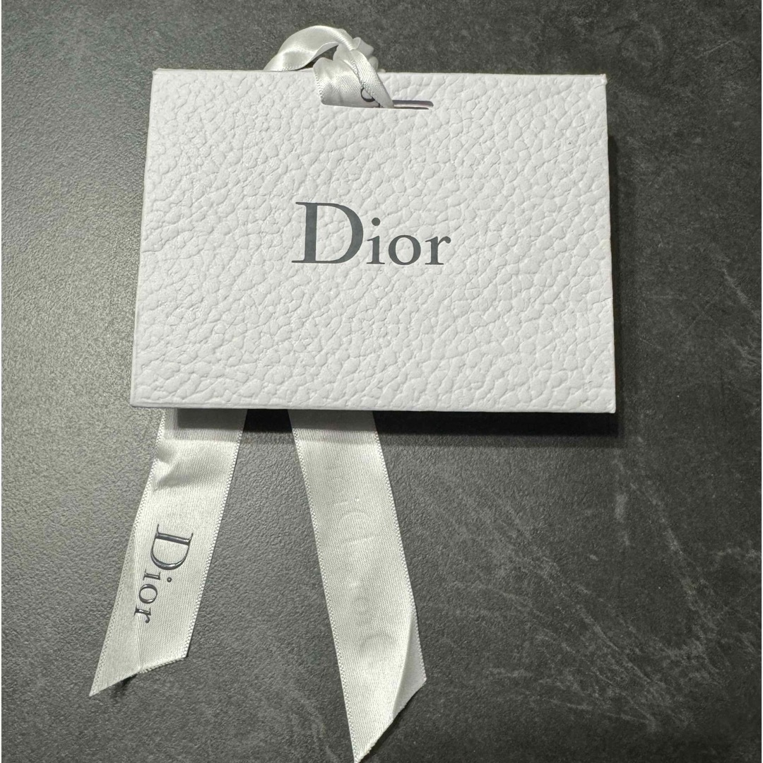 Dior(ディオール)のDior ショップ袋 レディースのバッグ(ショップ袋)の商品写真