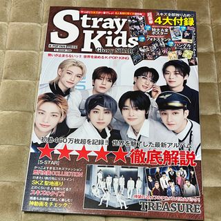 ストレイキッズ(Stray Kids)のStray Kids スキズ　Ｋ－ＰＯＰ　ＦＡＮ(アート/エンタメ)