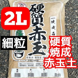 【細粒】　焼成 硬質赤玉土 2L 多肉植物 サボテン 塊根植物　観葉植物(その他)