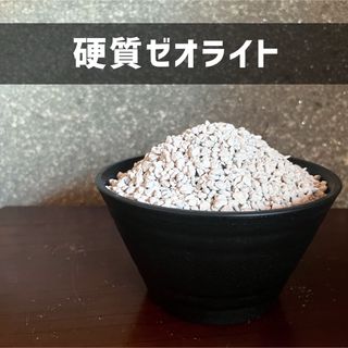 硬質ゼオライト 約1kg 国産ゼオライト 小粒 塊根植物 多肉植物 グラキリス(その他)