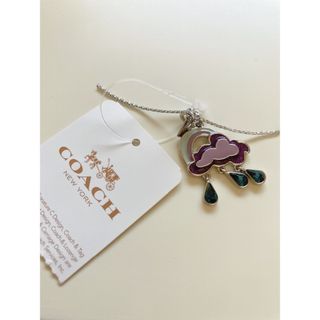 コーチ(COACH)のcoach 雨　虹　チャーム　バイオレット　コーチ(キーホルダー)