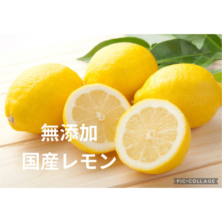 レモン 5kg サイズミックス 防腐剤不使用 美容健康 免疫力 国産 安心安全(フルーツ)