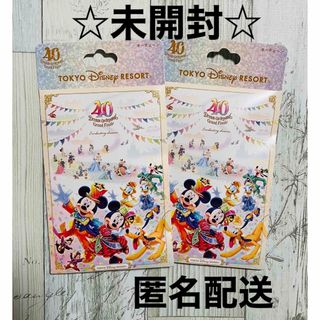 ディズニー(Disney)のTDL グランドフィナーレ　キーチェーン　２つ(キーホルダー)