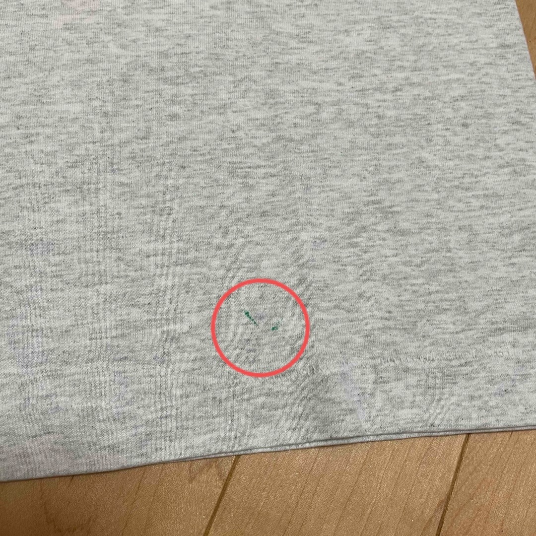 FRUIT OF THE LOOM(フルーツオブザルーム)のUSA製 犬Tシャツ ビンテージ フルーツオブザルーム レディースのトップス(Tシャツ(半袖/袖なし))の商品写真