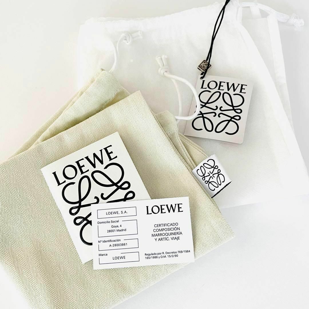 LOEWE(ロエベ)の新品 LOEWE ロエベ キュービィバッグ スモール ショルダーバッグ 完売品 レディースのバッグ(ショルダーバッグ)の商品写真