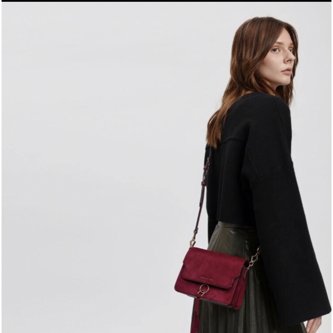 Charles and Keith(チャールズアンドキース)の新品未使用☆チャールズアンドキース クラシック クロスボディショルダーバッグ☆ レディースのバッグ(ショルダーバッグ)の商品写真