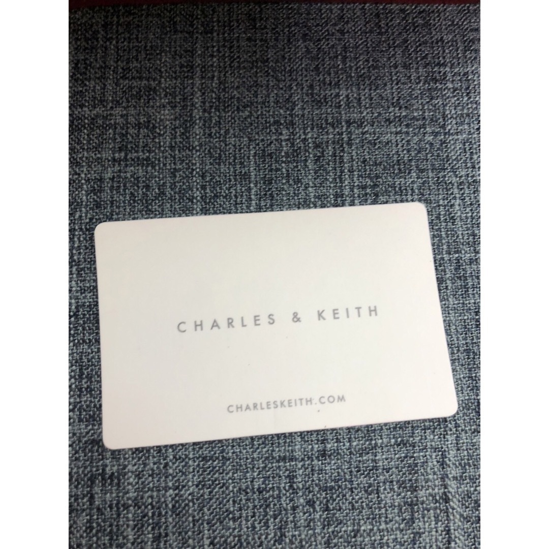 Charles and Keith(チャールズアンドキース)の新品未使用☆チャールズアンドキース クラシック クロスボディショルダーバッグ☆ レディースのバッグ(ショルダーバッグ)の商品写真