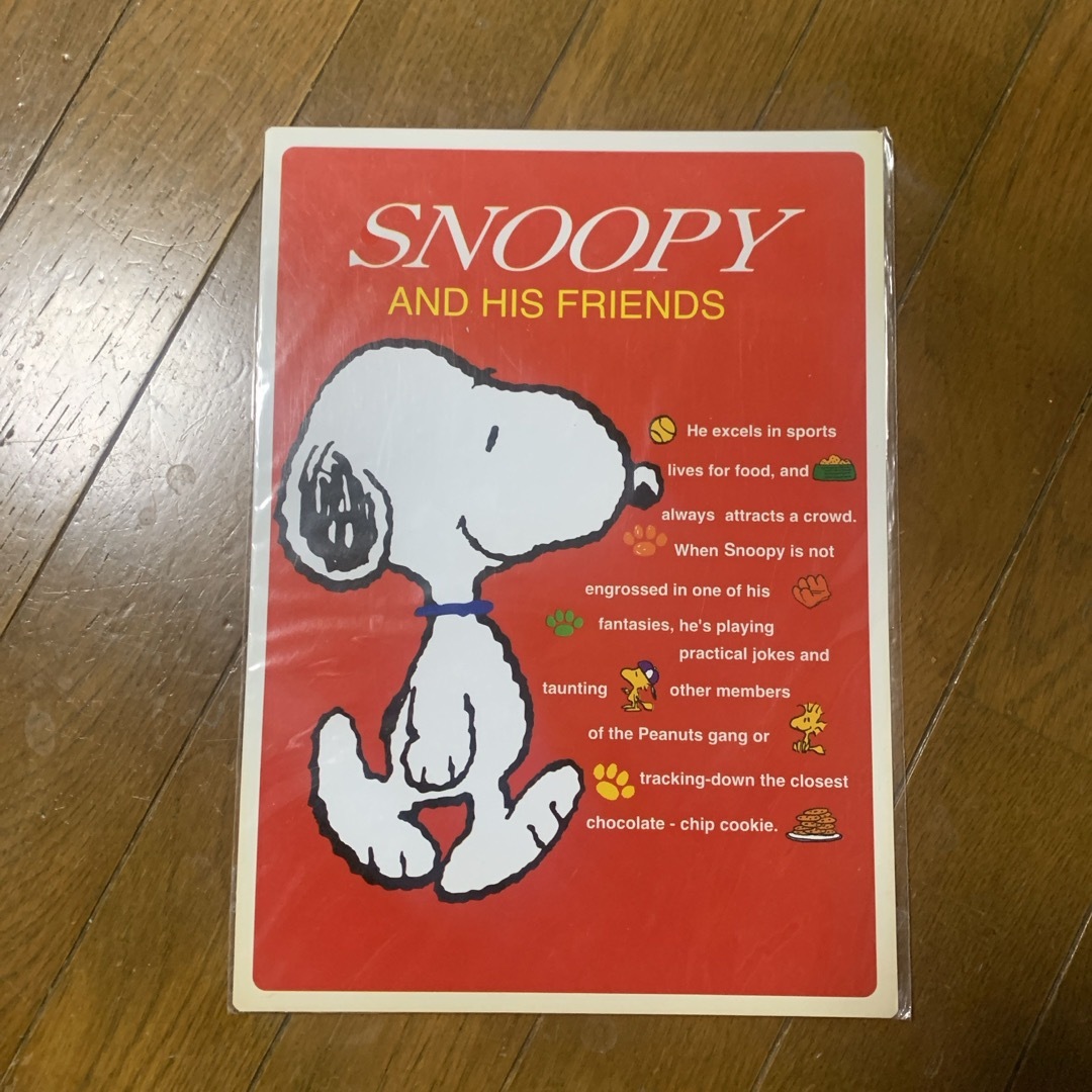 SNOOPY(スヌーピー)のスヌーピー  下敷き エンタメ/ホビーのおもちゃ/ぬいぐるみ(キャラクターグッズ)の商品写真