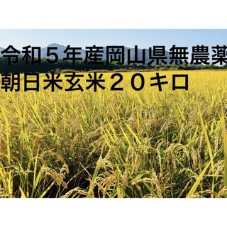 令和5年産岡山県無農薬朝日米玄米２０キロ(米/穀物)