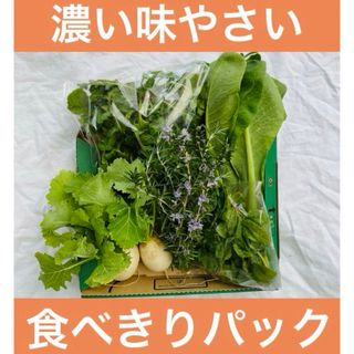 食べきりパック　濃い野菜　詰め合わせ(野菜)