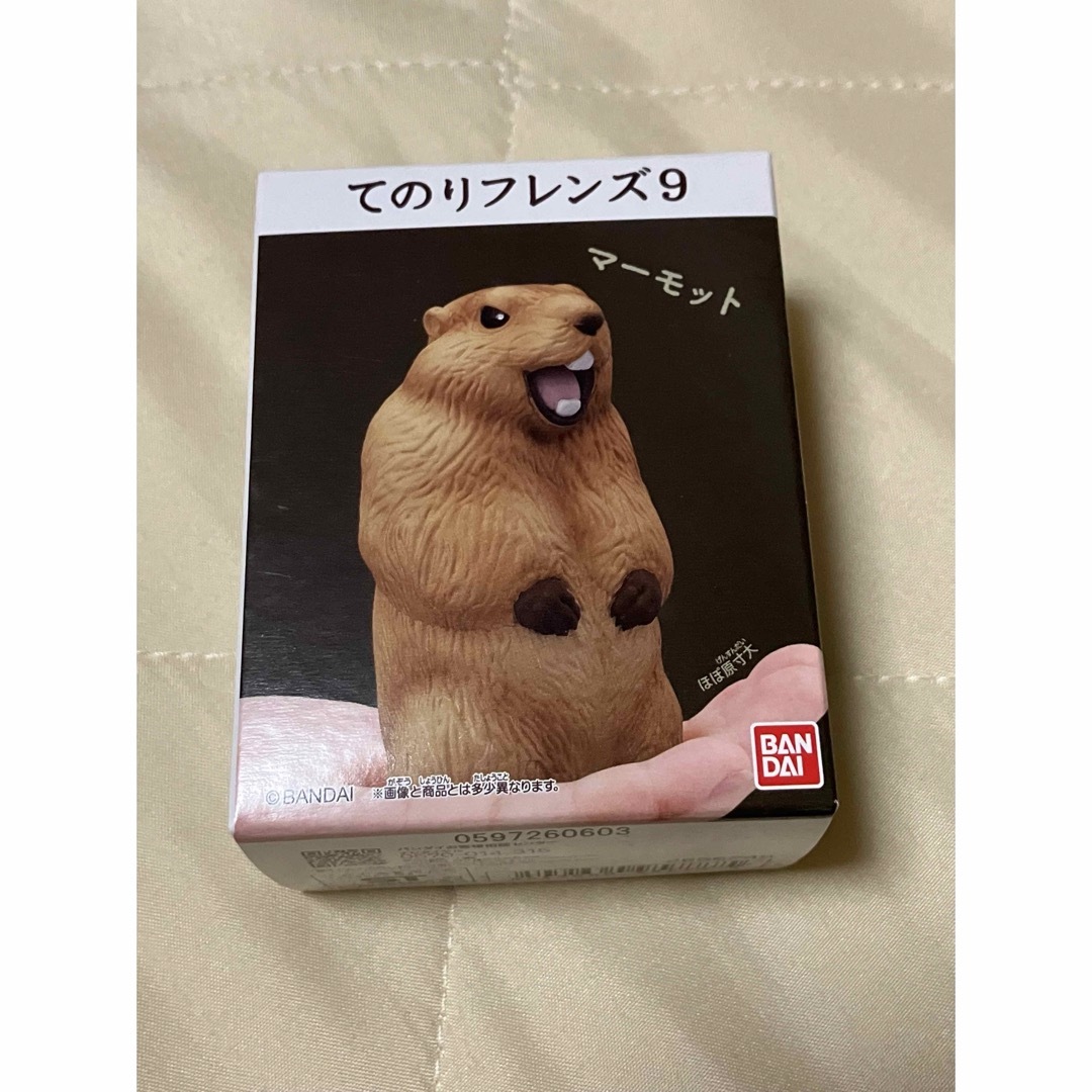 てのりフレンズ9 マーモット エンタメ/ホビーのおもちゃ/ぬいぐるみ(ぬいぐるみ)の商品写真