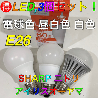 E26 3個 LED電球 電球色 昼白色 SHARP 二トリ アイリスオーヤマ