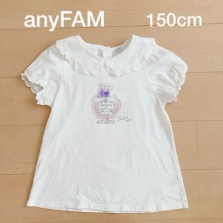 エニィファム(anyFAM)のanyFAM☆半袖カットソー&スカラップキュロット　150cm(Tシャツ/カットソー)