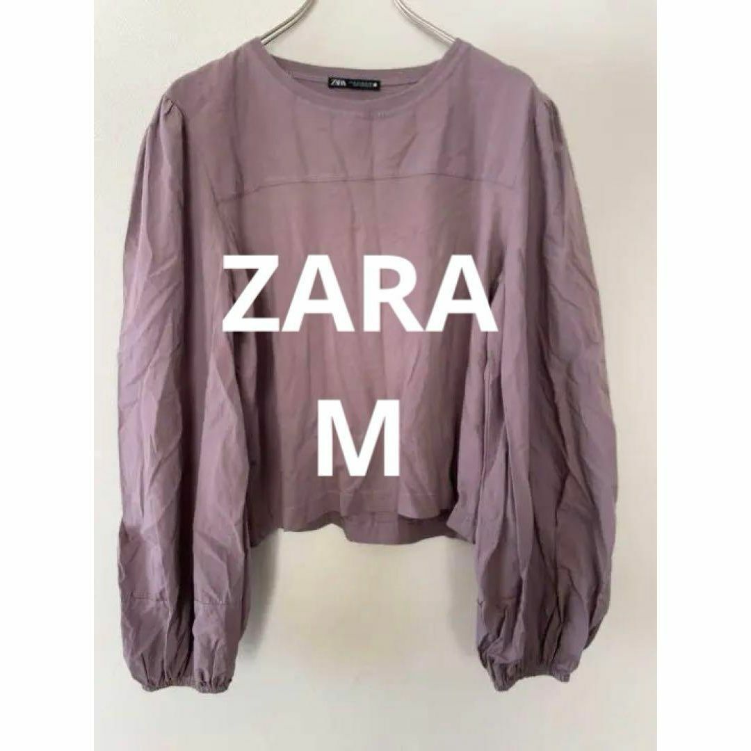 ZARA(ザラ)のZARA ザラ ロングTシャツ ショート丈 パープル サイズM レディース レディースのトップス(Tシャツ(長袖/七分))の商品写真