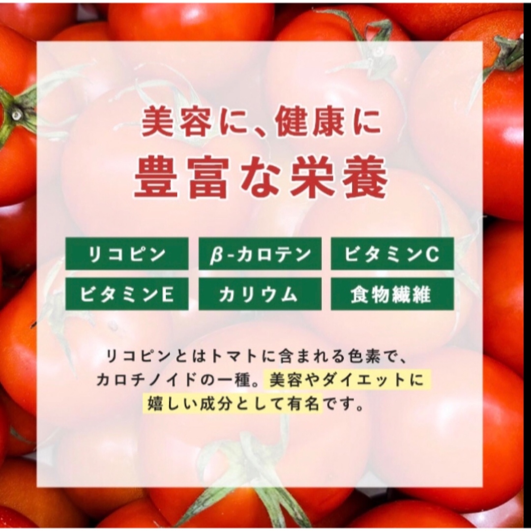 無添加 トマトパウダー 200ｇ 栄養素ギュッと濃縮 イタリアトマト100% 食品/飲料/酒の食品(野菜)の商品写真