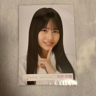 サクラザカフォーティシックス(櫻坂46)の櫻坂46　向井純葉さん　ランダム生写真(アイドルグッズ)