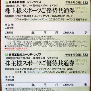 東急不動産ホールディングス 株主優待券スポーツご優待共通券 2枚(スキー場)