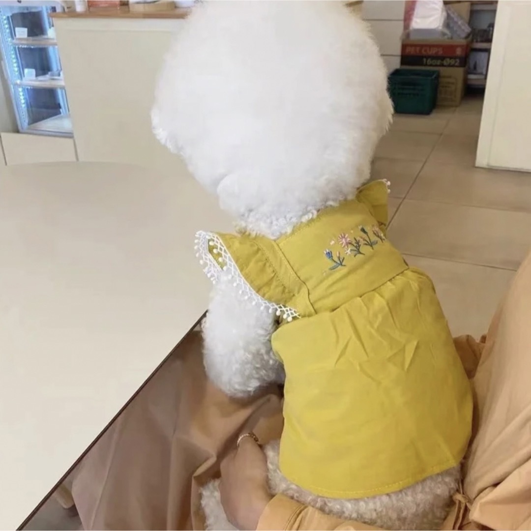 犬服　犬の服　ドッグウェア　ワンピース　S 　花柄　可愛い　春　おしゃれ　黄色 その他のペット用品(犬)の商品写真