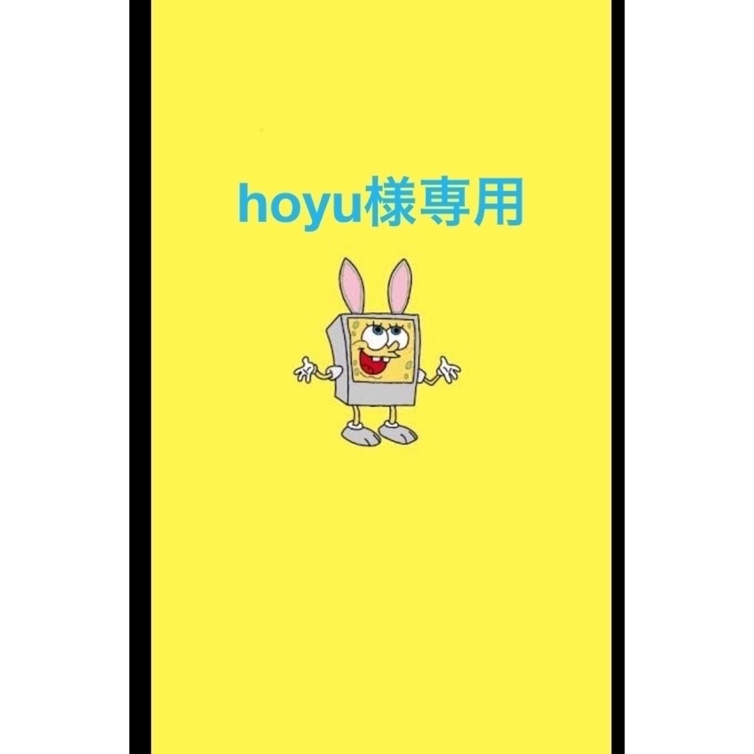 hoyu様専用　オーダーページ ハンドメイドのキッズ/ベビー(外出用品)の商品写真