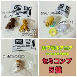 アニア(Ania（TAKARA Tomy）)の【発送可】アニア アニマルアドベンチャー ちいさなおせわ動物編 セミコンプ(その他)