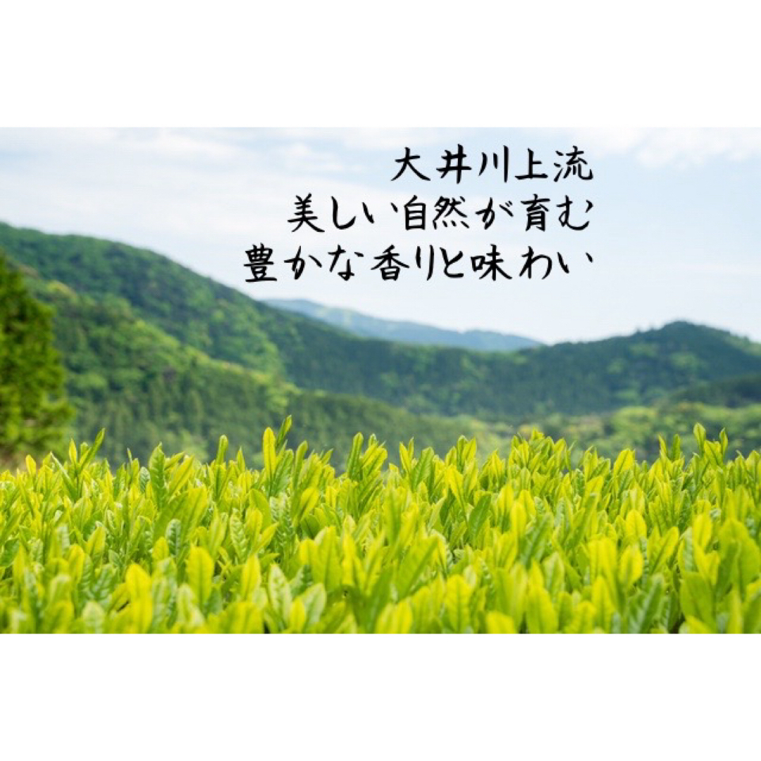 川根茶べにふうき緑茶粉末 70g×3個セット 食品/飲料/酒の飲料(茶)の商品写真