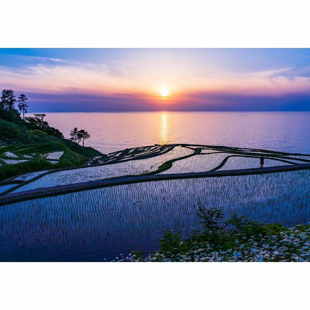 M49 白米千枚田/棚田/能登半島/石川県/日本の風景/アートパネル インテリア/住まい/日用品のインテリア小物(その他)の商品写真