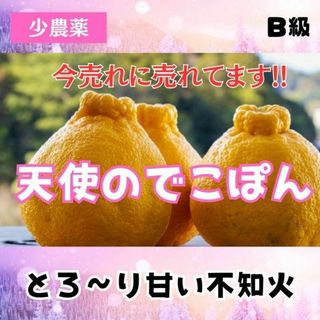 ゼリー食感！とろりと甘い! ！B級の天使のデコポン 3kg 不知火 和歌山(フルーツ)