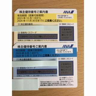 エーエヌエー(ゼンニッポンクウユ)(ANA(全日本空輸))のANA 株主優待券　2枚(航空券)